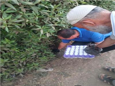 حملة مكبرة لمطاردة الثعابين