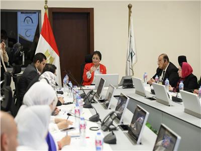 نائب وزير الصحة تُعلن إطلاق المنصة الإلكترونية للخطة التنفيذية الثانية للسكان والتنمية حتى 2027