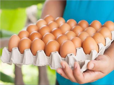 كرتونة البيض