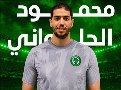 محمود الحلواني