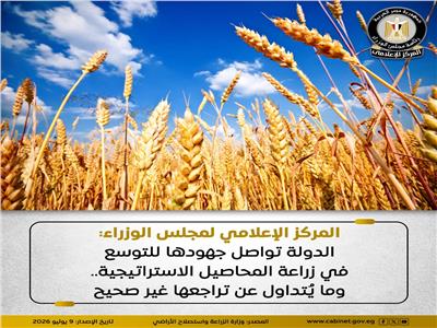 المركز الإعلامي لمجلس الوزراء