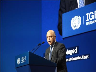  المستشار عادل ماجد نائب رئيس محكمة النقض