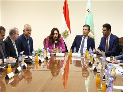 اجتماع تنسيقي لوزراء الزراعة والتنمية المحلية والصناعة بشأن «القرية المنتجة»