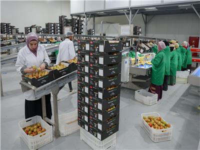 من المشروعات إلى الاستثمار.. كيف تحول جهاز مستقبل مصر إلى منصة اقتصادية لجذب رؤوس الأموال؟