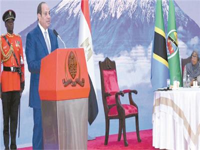 الرئيس عبدالفتاح السيسى
