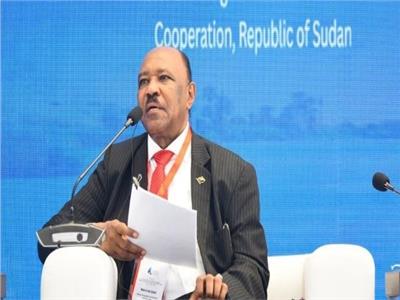 وزير الخارجية السوداني 