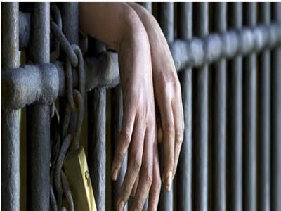 موضوعية