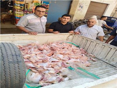 ضبط نصف طن دواجن ولحوم مجمدة فاسدة