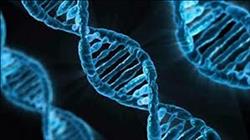 بحث يكشف إمكانية تطوير «لقاح للأنفلونزا» بواسطة الحمض النووي