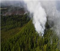 باحث روسي يكشف تأثير حرائق غابات سيبيريا على الكوكب