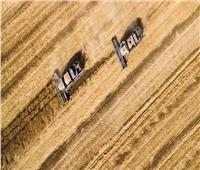 روسيا تبدأ بتصدير القمح إلى ليبيا في عام 2020 بحجم مليون طن سنويا
