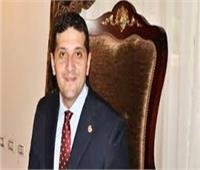 رئيس هيئة الاستثمار يبحث مع السفير الكوري جذب استثمارات جديدة إلى مصر
