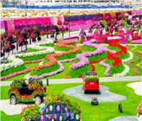 معجزة دبي .. حديقة الزهور تحفة فنية بلمسات طبيعية