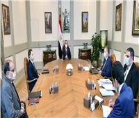 السيسي يجتمع مع وزير قطاع الأعمال لبحث الاستغلال الأمثل لأصول وأراضي الوزارة