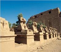 فيديو| طريق الكباش الأثري.. ممر يزينه 1200 تمثال