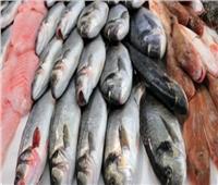 أسعار الأسماك بسوق العبور اليوم 28 مايو