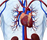 استشاري قلب يكشف طرق علاج الشريان التاجي | فيديو