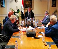 وزير قطاع الأعمال: نستهدف الوصول بمنتجات القطن المصري للأسواق العالمية