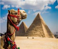 خبير: 11.3% نسبة مساهمة السياحة في الاقتصاد المصري