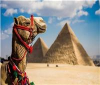 الإعلام الروماني يسلط الضوء على السياحة المصرية ويُبرز جمال شرم الشيخ