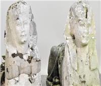 بعد بيعهما بـ265 ألف دولار.. تماثيل «أبو الهول» ببريطانيا أثرية أم تقليد؟