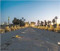 طريق الكباش| الأقصر أكبر متحف مفتوح فى العالم