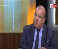 رفعت فياض: موقف مصر يتفق مع معظم الدول فى تناولها القضية الليبية| فيديو