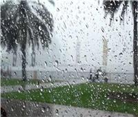 «الأرصاد»: سقوط أمطار وشبورة مائية كثيفة.. غدًا الجمعة 