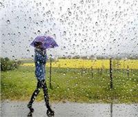 الري: التنبؤات بكميات الأمطار أصبحت أكثر دقة (فيديو)