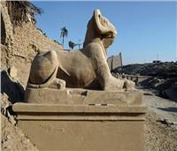 خبير التطوير العقاري: إحتفالية طريق الكباش جعلت مصر قبلة السياحة الثقافية