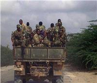 جبهة «أورومو»: قواتنا تتقدم بسرعة نحو العاصمة الإثيوبية