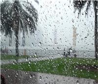 ذروة التقلبات الجوية| سقوط أمطار خفيفة على القاهرة