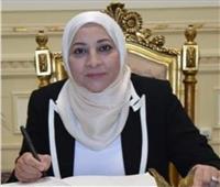 نائب محافظ القاهرة: ملاحقة الباعة الجائلين ورفع الإشغالات يوميًا