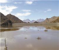 الاستفادة من 2,4 مليون متر مياه.. حصاد الأمطار الأخيرة