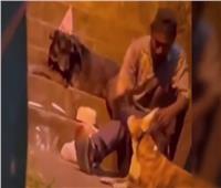 مشرد كولومبي يحتفل بعيد ميلاده برفقه كلبين| فيديو