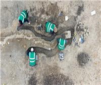 العثور على «تنين بحري» ضخم متحجر في محمية روتلاند| فيديو