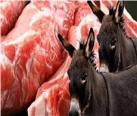 مسؤول بيطري يحذر من تناول لحوم الحمير.. 12 علامة تميزها عن اللحوم العادية