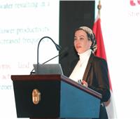 ‫ وزيرة البيئة: بناء شراكة مصرية أمريكية لدعم التحول الأخضر