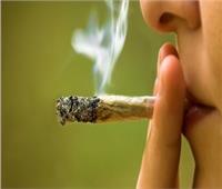 دراسة تحذر .. تدخين الماريجوانا باستمرار يسبب أمراض القلب والأوعية الدموية