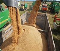 الكرملين: روسيا تنفي قيامها بتصدير القمح من أوكرانيا