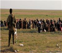 العراق يتسلم 50 عنصرا من «داعش» من قوات سوريا الديمقراطية