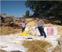 تحرير 105 محضرا ضد أصحاب حيازات زراعية لم يقوموا بتوريد القمح في البحيرة