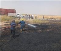الدفاع المدني العراقي يخمد حريقًا اندلع في أحد الحقول في كركوك