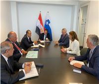 وزير الخارجية يلتقي نظيرته السلوفينية لتعزيز التعاون المشترك