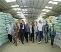 محافظة دمياط تنجح في تخطي نسبة 102.38% من القمح المستهدف