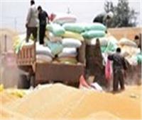وزارة الزراعة العراقية تكشف حالة «الأمن الغذائي» في البلاد