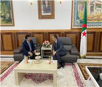 وزير الرياضة يصل الجزائر لحضور افتتاح بطولة ألعاب البحر المتوسط 