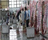 استقرار أسعار اللحوم الحمراء بالأسواق الأحد 26 يونيو