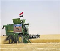  45 معلومة ترصد ازدهار قطاع الزراعة بعد ثورة 30 يونيو 
