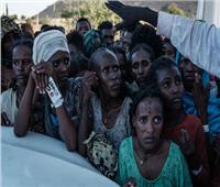لجنة أممية: الحكومة الإثيوبية ارتكبت جرائم ضد الإنسانية في تيجراي